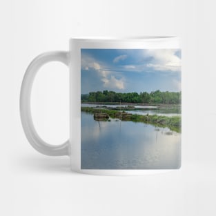 Fishpond Mug